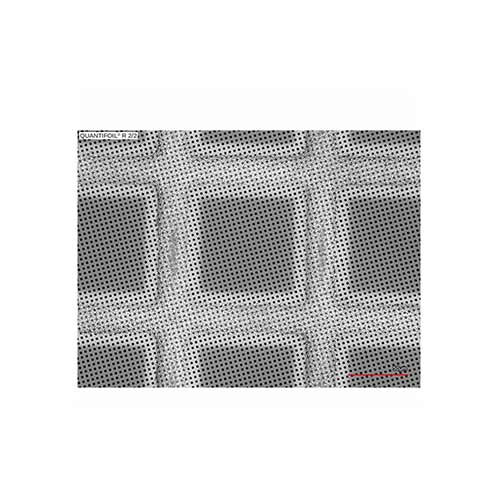 Quantifoils 400 Mesh Gold R2/2 - Holey Carbon Films (Pack of 10) product photo Front View L