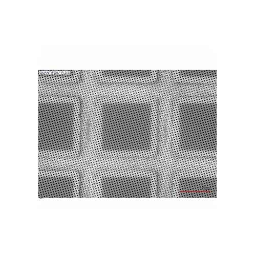 Quantifoil 300 Mesh Gold R2/2µm - holey carbon films (10 Pack) product photo Front View L