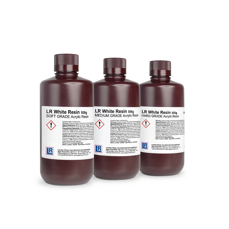 LR White Resin (500g) product photo