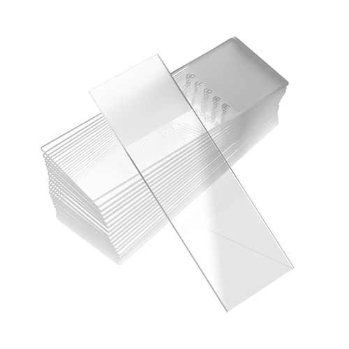 Large Glass Microscopic Slides 76mm x 102mm (Pack of 50) product photo Front View L