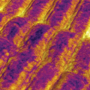Topography_In_Air_3
