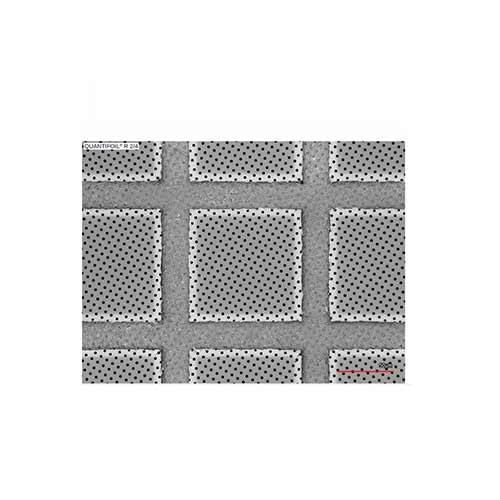 Quantifoil 400 Mesh Copper R2/4um - Circular Holey Carbon Films (10 Pack) product photo