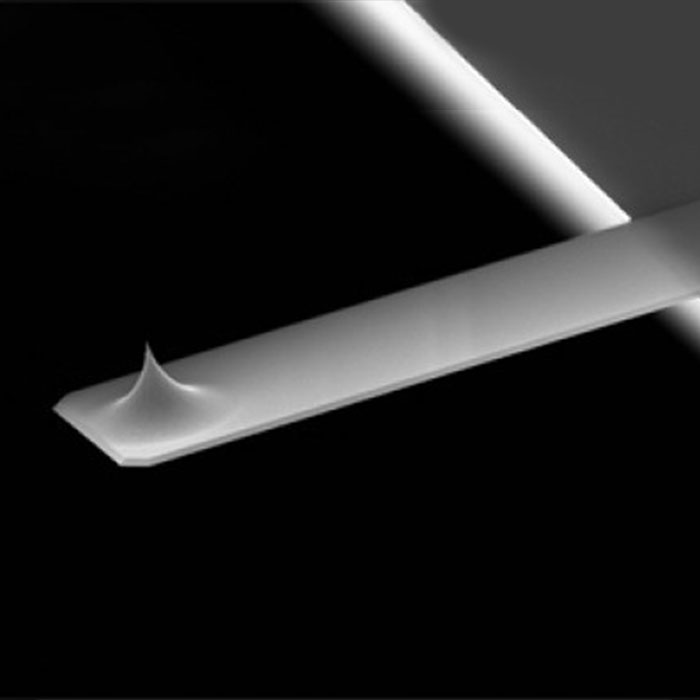 Biotool Cell XXL product photo