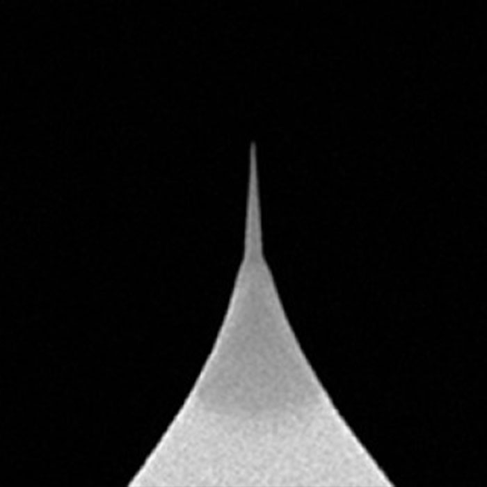 Biotool Cell product photo Extra view 1 L