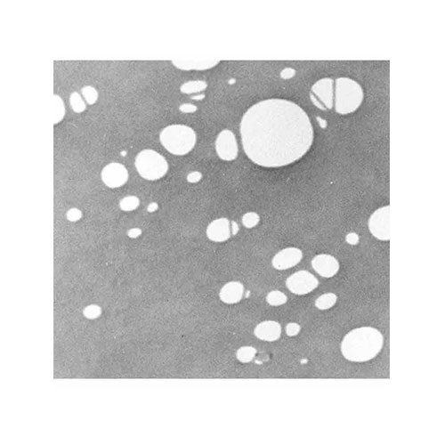 Perforated carbon film, 3.05mm grid product photo