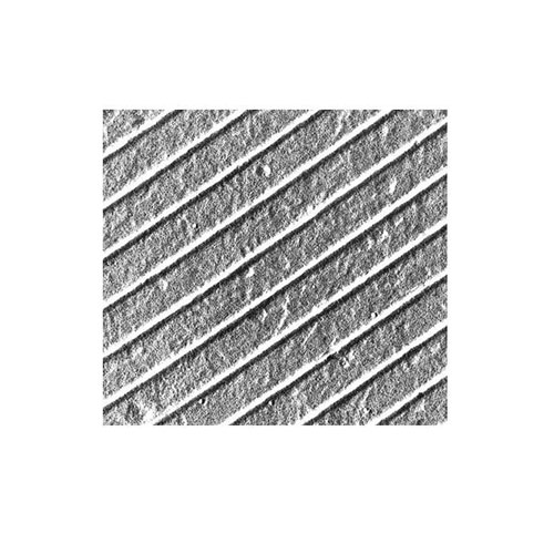 Diffraction grating replica with latex spheres product photo