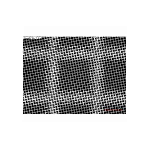 Quantifoil 300 Mesh Gold R3.5/1µm - Circular holey carbon films (10 Pack) product photo