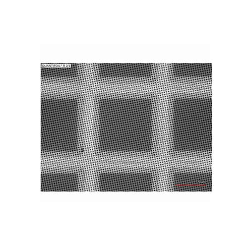 Quantifoil 200 Mesh Copper R2/1µm - Circular Holey Carbon Films product photo Front View L