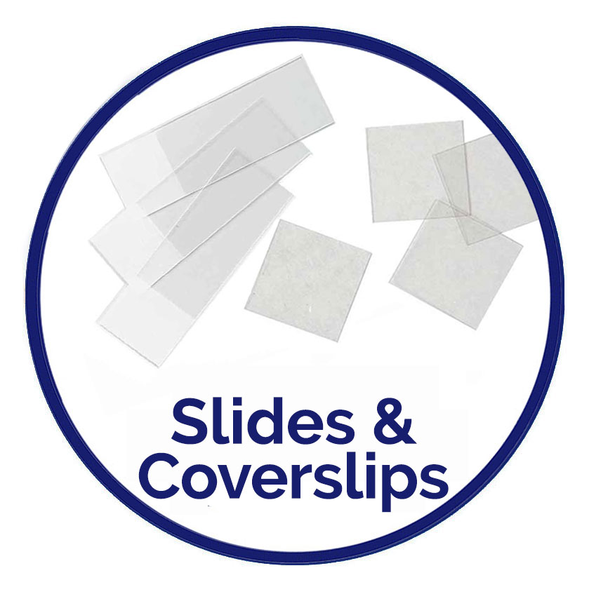 Shop slides and coverslips for LM