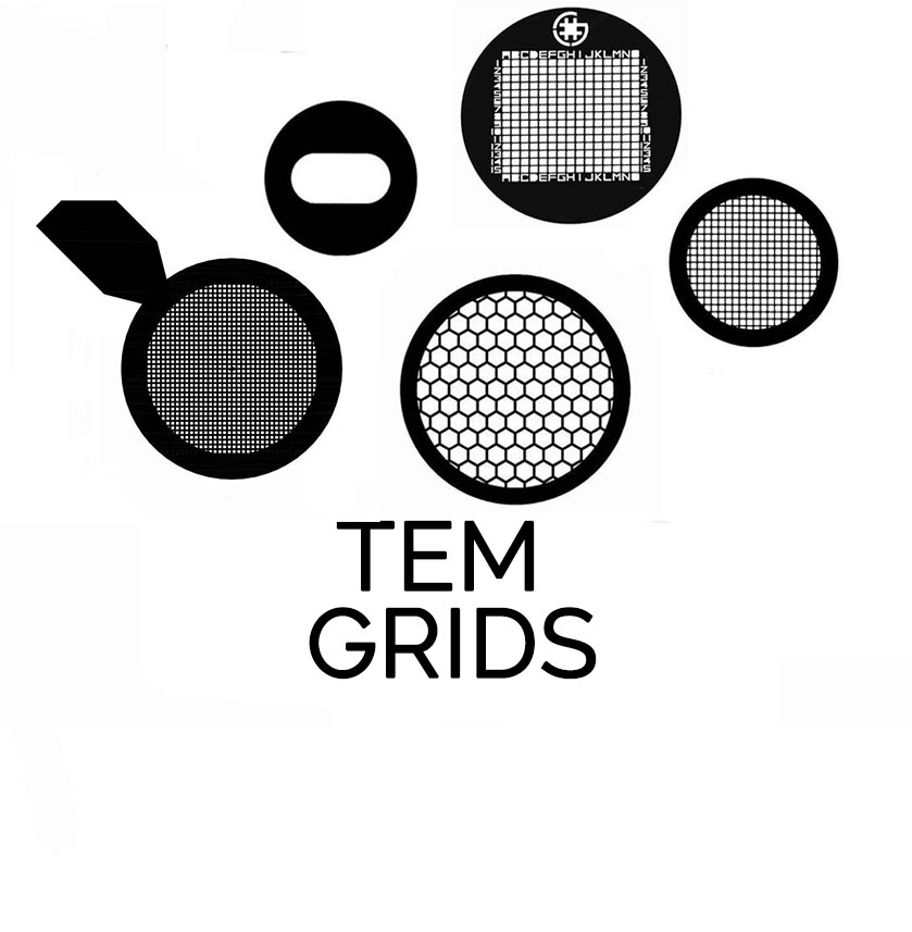 TEM grids for ready-to-use specimen support.