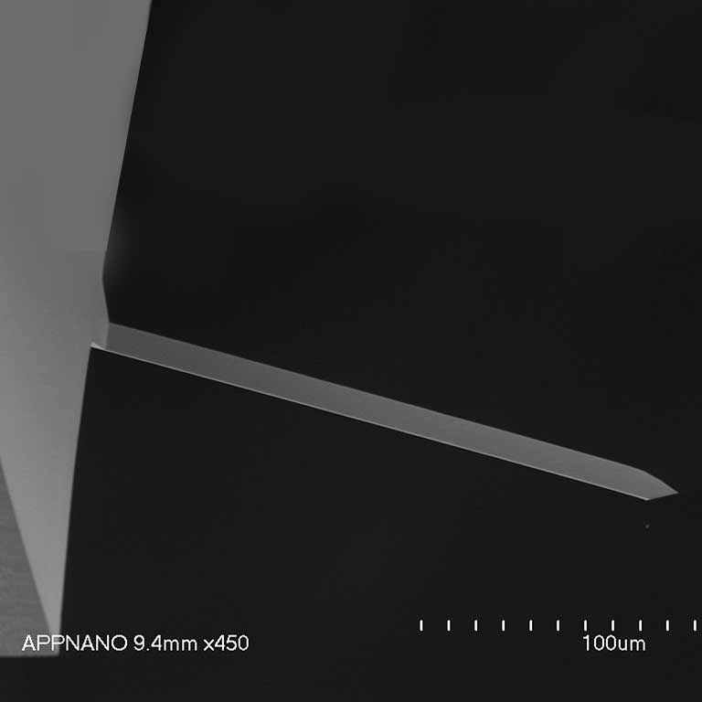 PtSi-FORT product photo Extra view 1 L