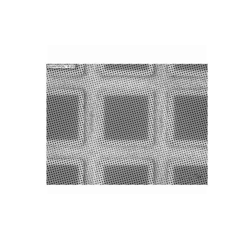 Quantifoil 200 Mesh Gold R2/1um - Holey Carbon Films (AGS174-7) product photo