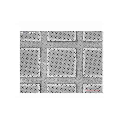 Quantifoil 200 Mesh Copper R1/4µm - Holey Carbon films (Pack of 10) product photo