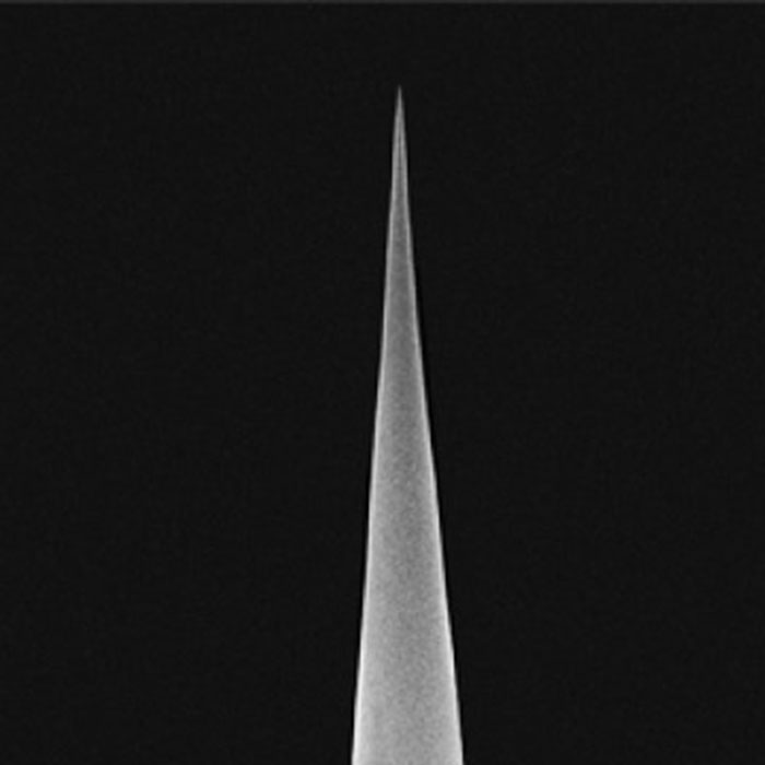 Biotool Cell XXL product photo Side View L