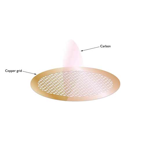 Carbon Films on 300 Mesh Grids Copper (Pack of 50) product photo