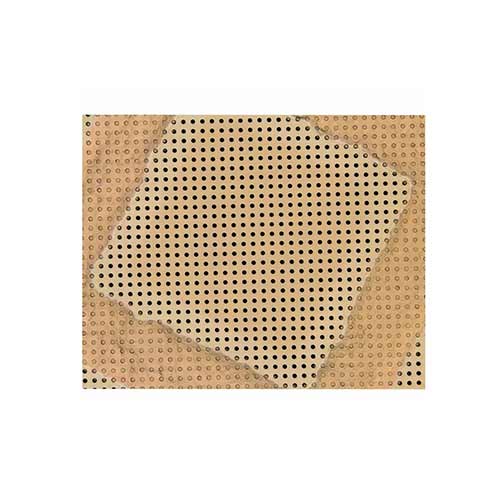 UltrAuFoil R1.2 / 1.3 on 300 mesh Gold (Pack of 10) product photo