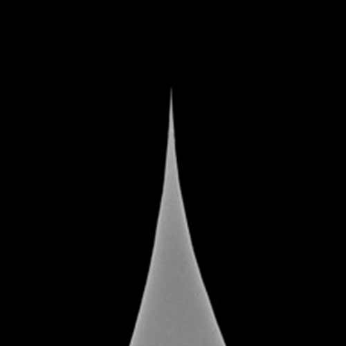 SCOUT-70-HAR-RAu product photo Extra view 2 L