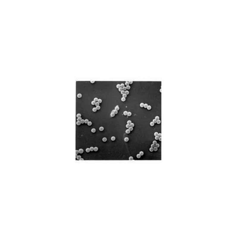 Polystyrene Latex Spheres product photo