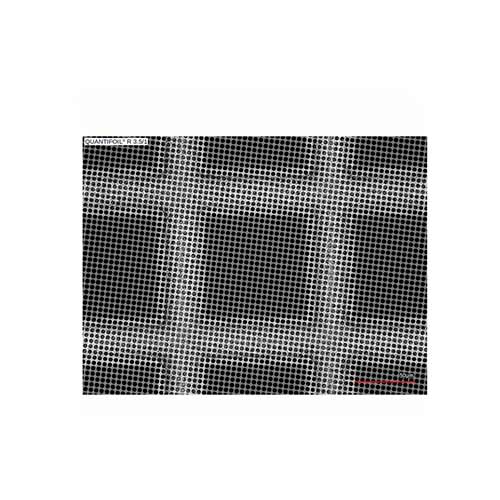 Quantifoil 300 Mesh Copper R3.5/1µm - Circular holey carbon films (100 Pack) product photo