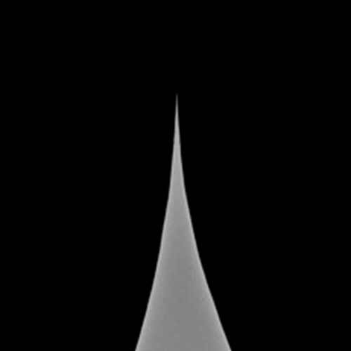 SCOUT-350-HAR-RAl product photo Extra view 2 L