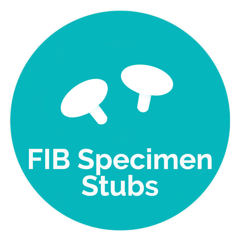 FIB Specimen Stubs