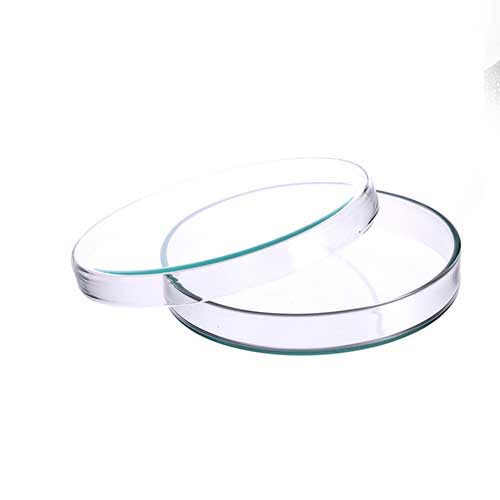 Pyrex Petri Dish - 55mm Diameter product photo