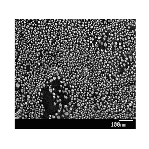 Gold on Carbon Ultra High Resolution Au-C Test Specimen product photo Front View L