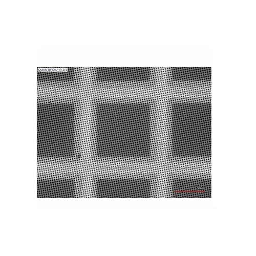 Quantifoil 400 Mesh Copper R2/1um - Holey Carbon Films product photo Front View L