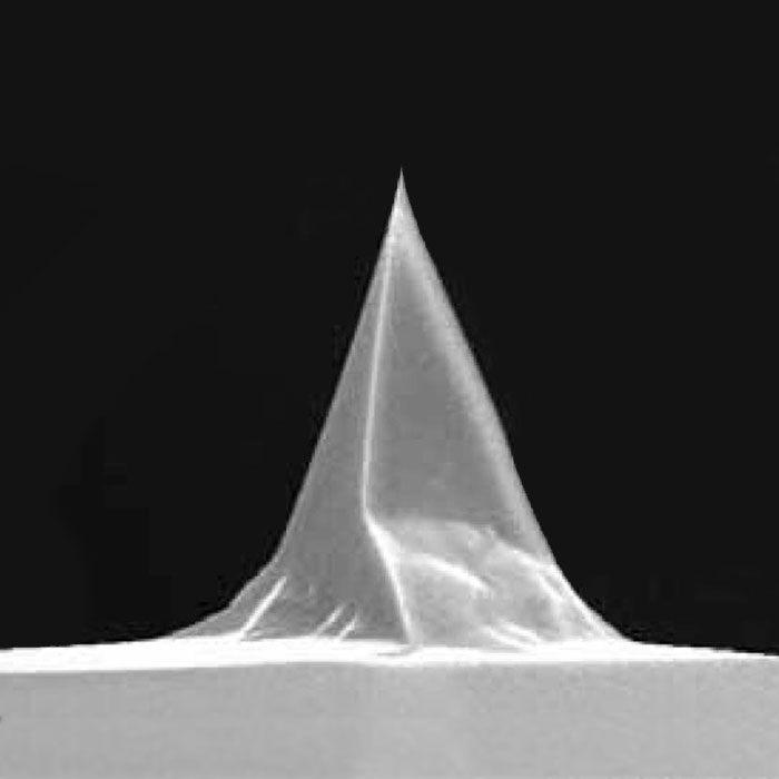 SHOCONA product photo