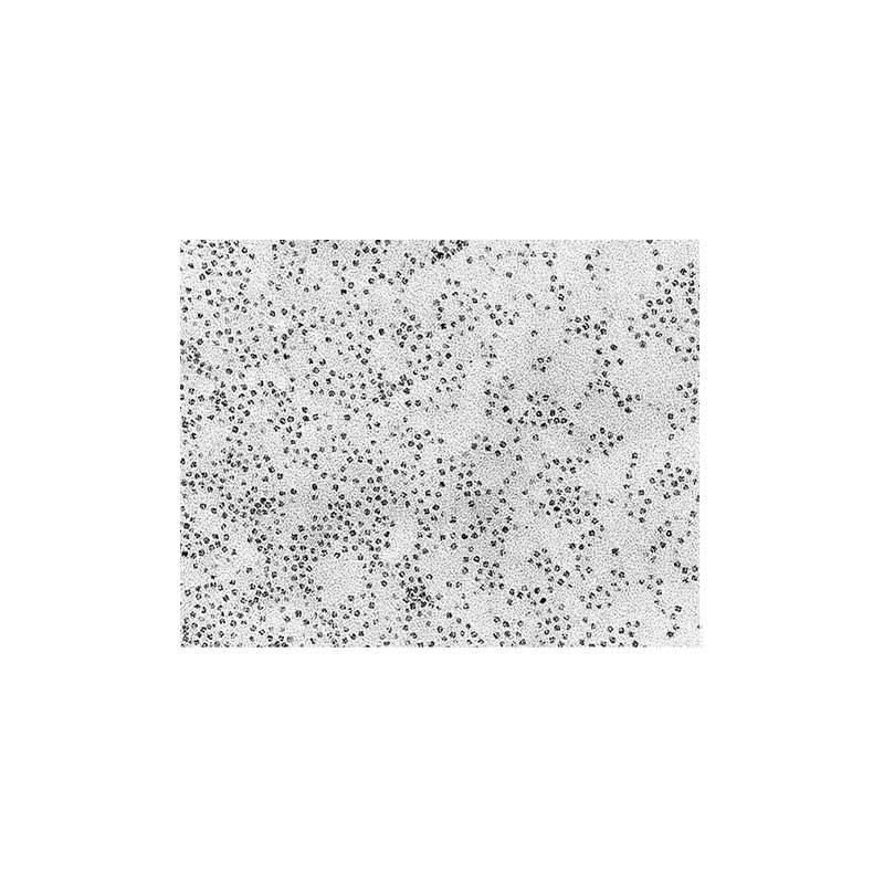 Ferritin, 3.05mm grid product photo