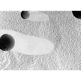 Gold shadowed latex particles product photo Front View L