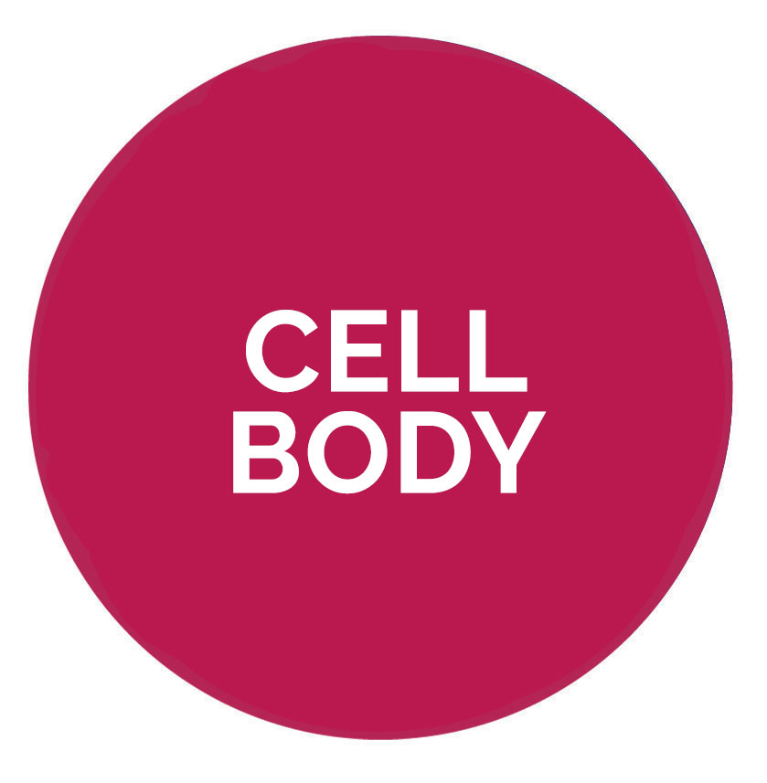 View all Cell Body parts