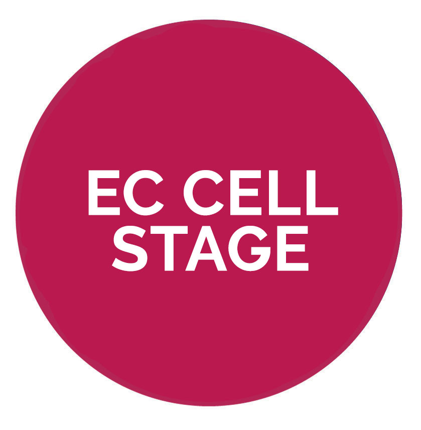 View all EC Cell Stage parts