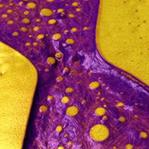 Nanomechanical_Characterization_5