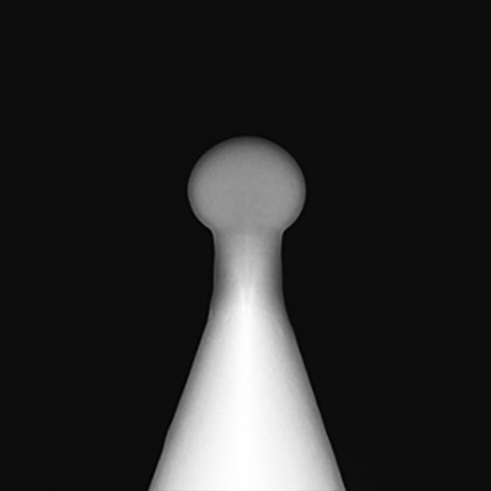 Biosphere (FM) product photo