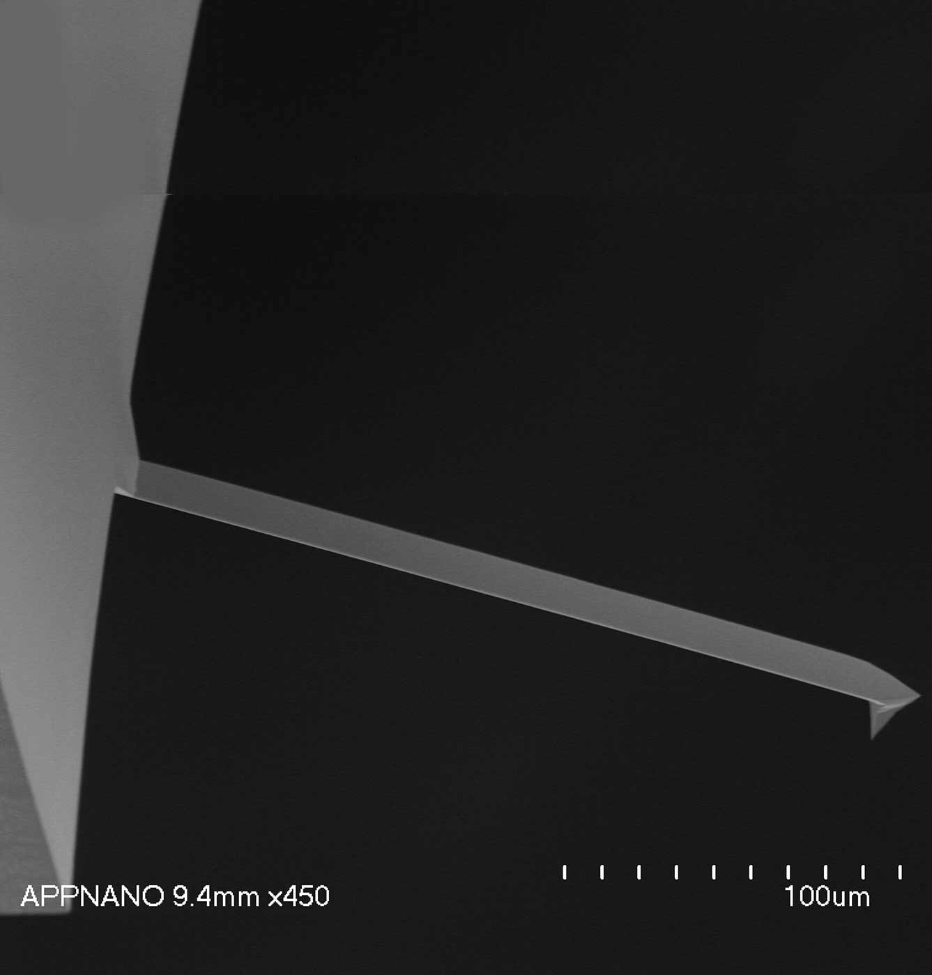 DD-FORTA product photo Extra view 1 L