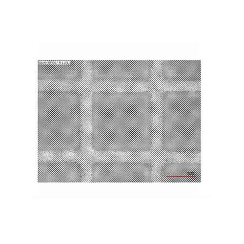 Quantifoil 400 Mesh Copper R1.2/1.3um - Holey Carbon Films (Pack of 10) product photo