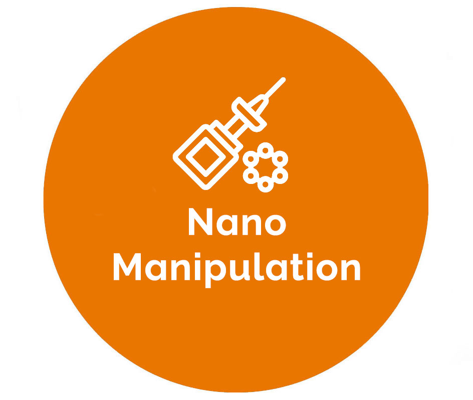 A range of Omniprobe grids and tips for Nanomanipulation